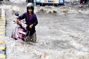 Mumbai Rains: Teenager dies due to suspected leptospirosis