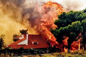 Greece's worst wildfires in a decade rage near Athens