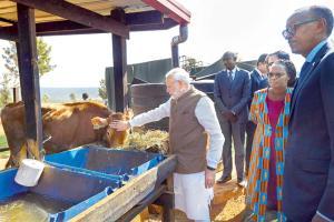 PM Narendra Modi pets a cow, as Rwandan President Paul Kagame looks on