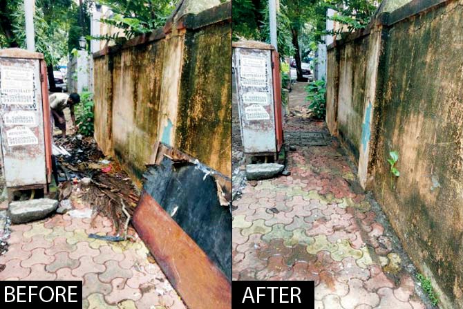 Location: 14th Road, Khar West Complaint: Tree debris Filed: June 29 Solved: Within two hours