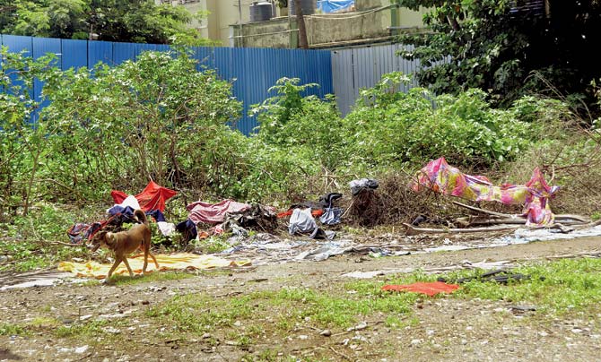 Next on the Agenda: Alka Kerkar, corporator of H West Ward, has assured to clean the debris at St Elias playground on Ambedkar Road within a week, after a resident requested the forum to intervene