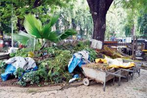 mid-day impact: BMC to paint Patwardhan Udyan green, and clean