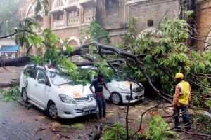 Mumbai Rains: Body of 24-year-old who had drowned in Powai recovered