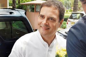 Rahul Gandhi: Government's proposed changes in RTI Act will make it useless