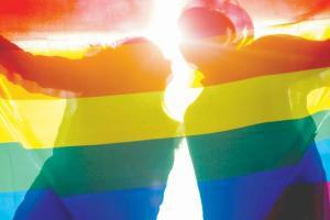 Rosalyn D'mello: Love in the time of Section 377