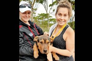 Dog makes a 'Stormy' finish at Australia half-marathon