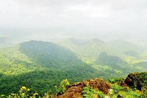 Tungareshwar Wildlife Sanctuary to lose hectares of land for water pipes