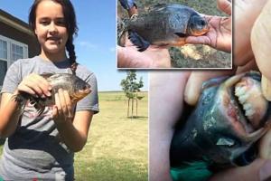 11-year-old girl catches rare pacu with human-like teeth in Oklahoma lake