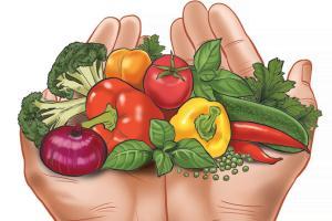 Danish diet suggests trusting your hand to moderate your food intake