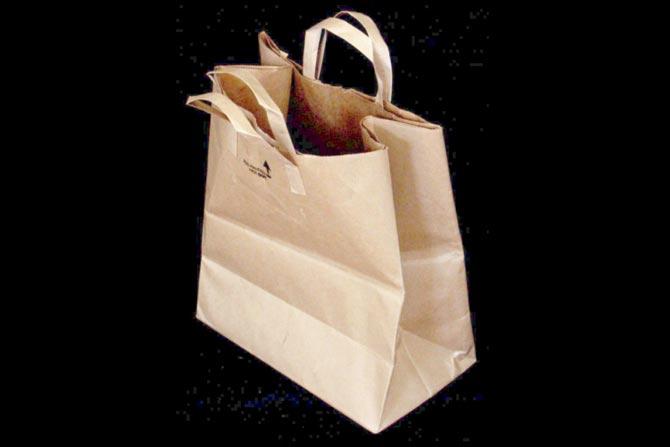Craft paper bags