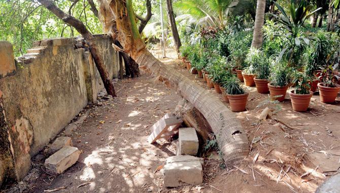 Muktanand Garden in Santacruz West has fallen into disrepair in BMC