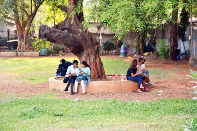Visitors who bring their kids are unhappy with canoodling couples found there all day