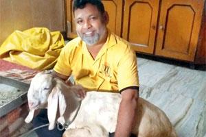 Deonar trader's goat gets stolen, announces Rs 1 lakh to find his beloved animal
