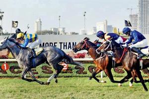 Horse racing: Derby winner Rochester dead