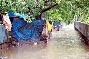 Mumbai Rains: After BMC clears area, slum colony reappears in stormwater drain