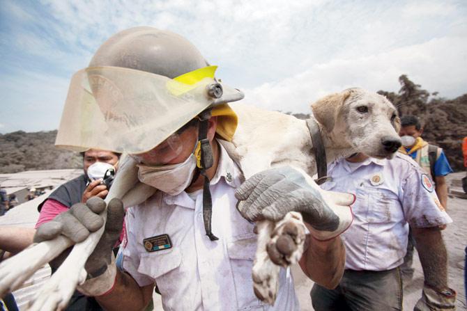 Authorities have evacuated more than 3,000 people