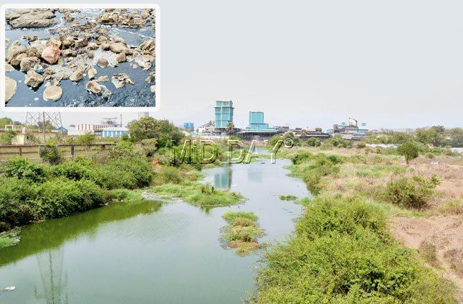 There are 977 factories in and around the 20km-long Kasadi river that flows from Malanggad in Kalyan till Taloja MIDC, meeting the sea a few kilometres from Belapur creek. Pics/Datta Kumbhar