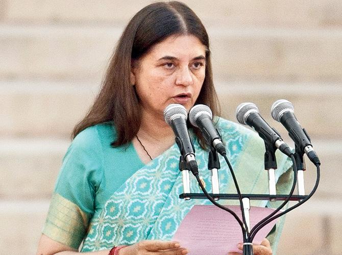Maneka Gandhi. Pic/AFP