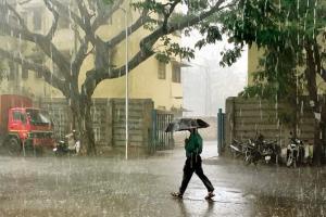 mid day editorial: This monsoon, stay away from waterbodies