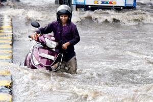 Despite IMD's warning of heavy showers, the city managed to stay afloat