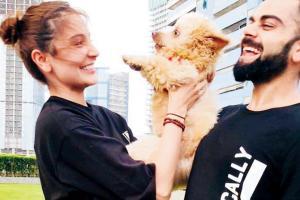 Virat Kohli and Anushka Sharma's puppy love at home