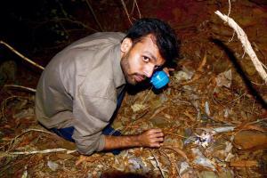 mid-day's 39th anniversary: Crouching Sanap, jumping spider