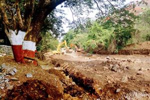 Mumbai Rains: SGNP to stay high and dry this monsoon