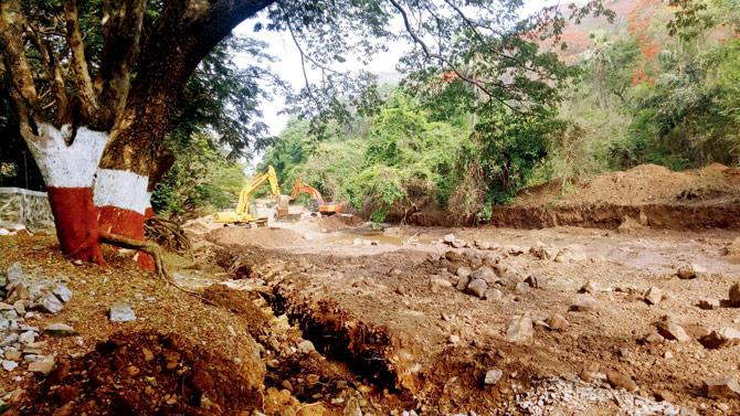 Desilting work has been on at SGNP for a couple of weeks