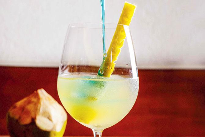 Summer Squash