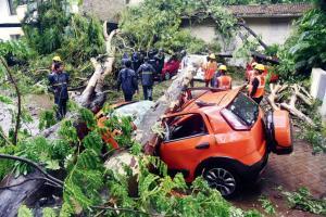 Mumbai Rains: Tree-fall claims one more life; 50-year-old killed in Andheri