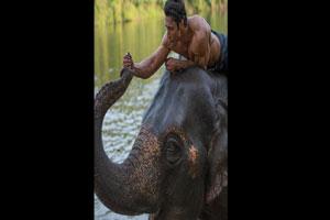 World Environment Day: Vidyut Jammwal vows to take care of elephants for life