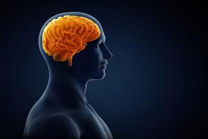 Childhood stress makes your brain mature faster: Study