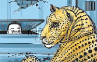 On Saturday, a resident of the Halimabai Chawl climbs up to his first-storey room, only to spot a leopard snoozing on his bed. Illustration/Ravi Jadhav