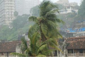 mid day editorial: This monsoon, take each step with caution