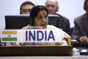 Swaraj: Developing nations need adequate finances to combat climate change