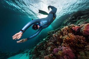 'Artificial blubber' to protect deep-sea divers in icy water