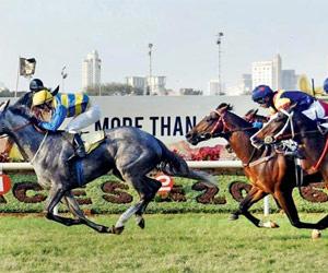Horse racing: Themis favourite for CN Wadia Gold Cup