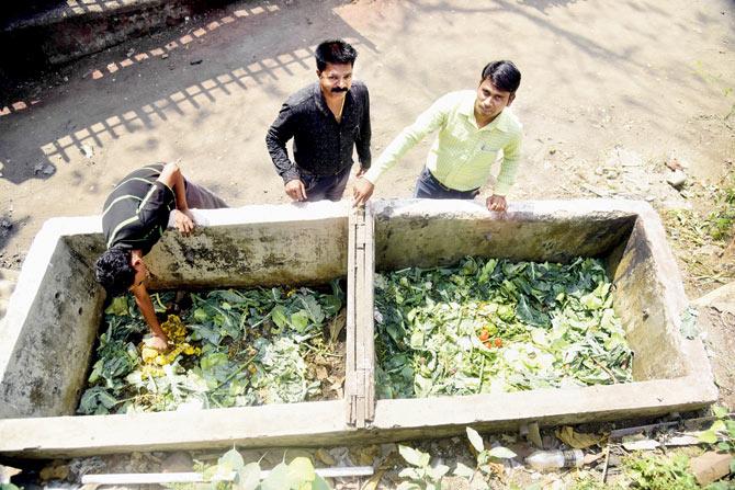 The waste is put into the composting pits at Kanjurmarg’s Ashirwad Niwas and Mirashi Nagar slums. Pic/Sameer Markande