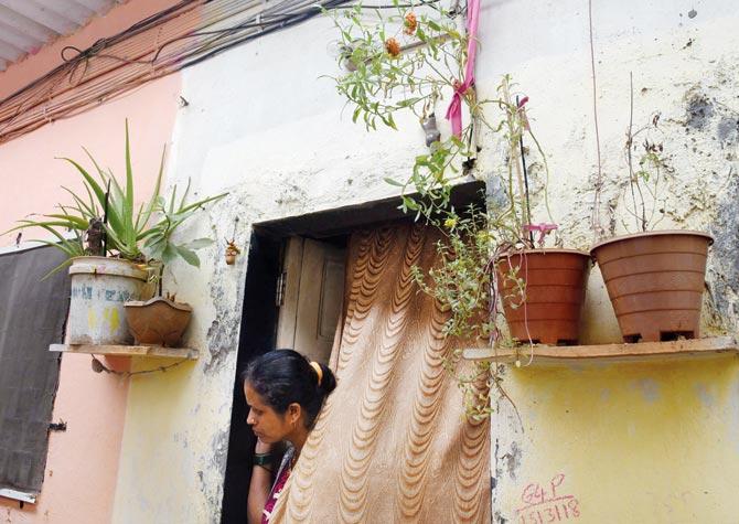 Residents of slums in Ghartan Pada in Dahisar use the compost for their plants