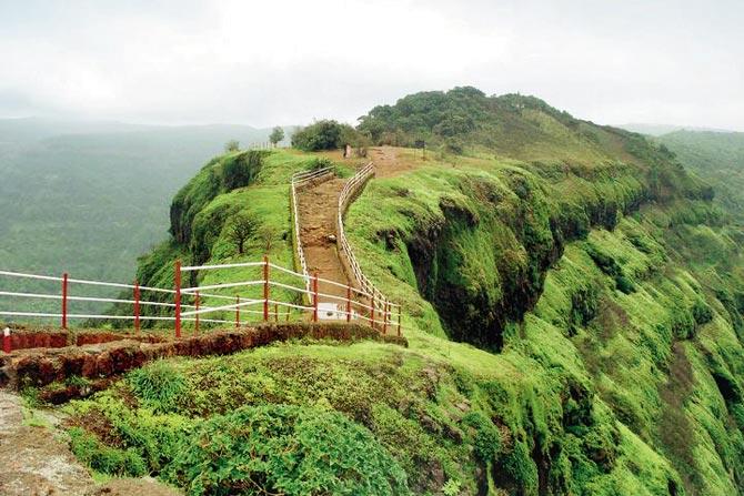 Elephant head in Mahabaleshwar