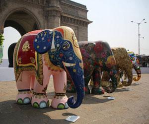 Colourful Elephants Grace The Streets Of Mumbai The plan follows concern about the welfare of mumbai's elephants. colourful elephants grace the streets