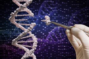 Over 500 genes linked to intelligence identified