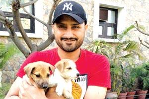 Harbhajan Singh is in puppy love mode!