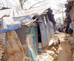 RTI: 10 yrs after JVLR, Powai's displaced tribals are still awaiting homes