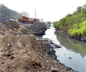 Mangrove cell finds wall being built inside Mithi river