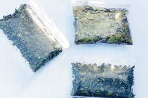 Mumbai Crime: Seven foreigners nabbed with 300 kilos of 'new kind of weed'