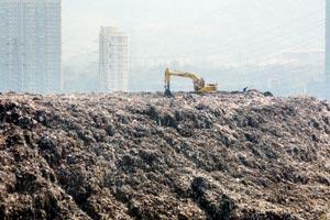 Mumbai: Mulund's waste woes won't go away until monsoon