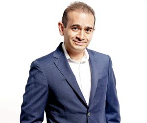 How RTI could have brought PNB scam to light 2 years ago