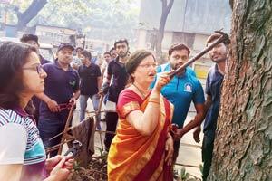 For Punekars, Sundays are about giving trees a painless life