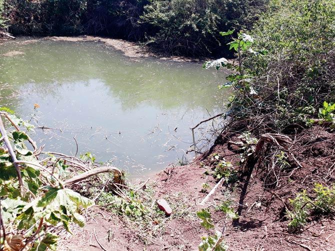 The pond where the boy and his mother dumped the girl